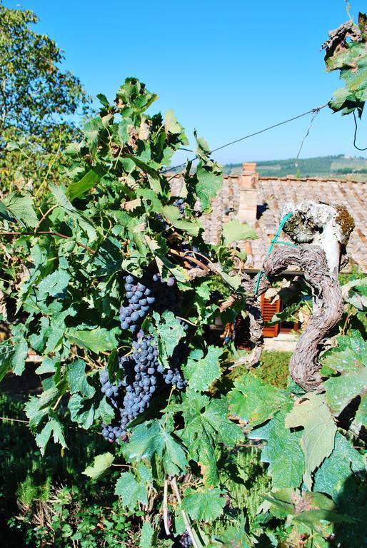 Villa Toscana Il Capiteto Panzano in Chianti Exterior photo